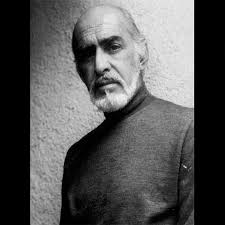 Julio Bracho Pérez Gavilán