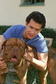 Pin On Dogue De Bordeaux