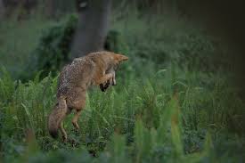 Marlo Reyes Photography