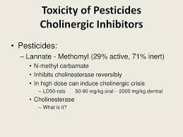 Image result for Cholinergic Toxicity