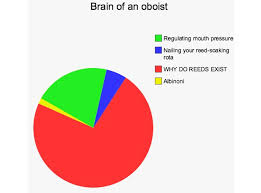 Musicians Brains Each Instrument Broken Down Into Pie