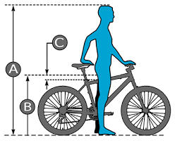 size chart rizer bikes