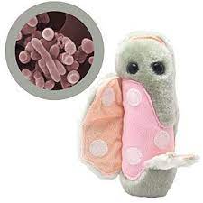 Leprosy Plushie Geek Stuff How To Make Toys Plush Microbes