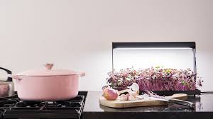 4.8 out of 5 stars. Grow Microgreens At Home With This Sleek Countertop Farm Mental Floss