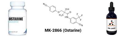 May 28, 2010 · the kidneys are responsible, among other things, for filtering the blood and producing urine. Sarms Effekte Einer 12 Wochigen Kur Mit Ostarine Mk 2866 Gannikus De