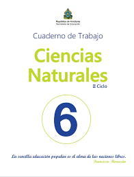 Maybe you would like to learn more about one of these? Cuadernos De Trabajo De Ccnn De 1 A 9 Grado Complementos De Los Libros De Texto Zonadeldocente Com