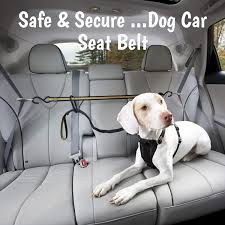 Secure Dog Seat Belt In 2020 Dog Car Seat Belt Dog Safety Pet Harness