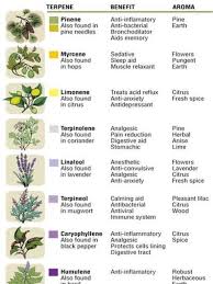 chart of terpenes esense lab creates medicinal cannabis by