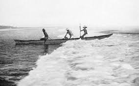 These are original watercolor fish decals inspired by beautiful undersea world. Atolls Of The Sun By Frederick O Brien A Project Gutenberg Ebook