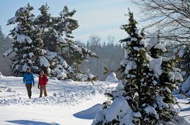 Im frühjahr erblühen ganze hänge von. Ausfluge Mit Schneegarantie Tipps Fur Winterspass Auf Der Schwabischen Alb Baden Wurttemberg Stuttgarter Nachrichten