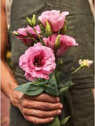 Does sprouts carry fresh flowers. Cut Flower Basics Burpee