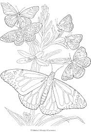 These alphabet coloring sheets will help little ones identify uppercase and lowercase versions of each letter. Detailed Butterfly Coloring Page Butterfly Coloring Page Mandala Coloring Pages Coloring Pages