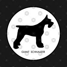 Giant Schnauzer