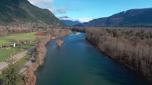 Read chapter 4 environmental influences on salmon: Seattle City Light Told Public Their Dam Operations Increased Salmon Runs As Fish Numbers Declined King5 Com