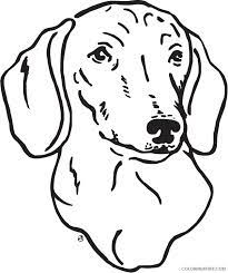 Its resolution is 1000x1000 and it is transparent background and png format. Dog Face Coloring Pages Dog Face Black And Printable Coloring4free Coloring4free Com