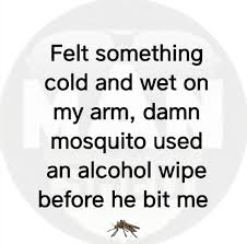 Pin By Gail Donegan On Funny In 2020 Funny Expressions Funny Picture Quotes Sarcastic Quotes Funny