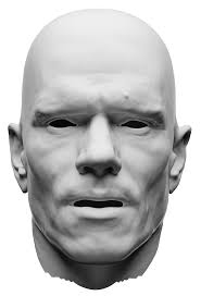 Near-realtime Facial Animation by Deep 3D Simulation Super-Resolution