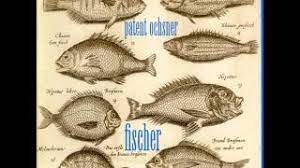Album liebi, tod & tüüfu. Patent Ochsner Fischer Songtext Lyrics Liedtexte