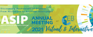 For the past 60 years, east brunswick has been providing children with a stimulating and happy summer day camp experience.they are back. Asip 2021 Annual Meeting At Eb The European Association For Cancer Research