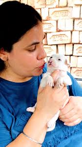 Aww is cutie ko iski mumma ne maar diya #puppy #puppies #puppylove  #puppylovers #puppylife #dogmother #dogmom #dog #dogs #dogfood #doglife  #doglover #doglovers #supportus #blessings #love #reels ...