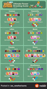 Blomster Hybrid Guide In 2020 Animal Crossing 3ds Ausgestopftes Tier Tierspiele