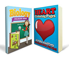 Human biology is a textbook on human biology and presents facts and details about a number of diseases as well as organ transplants, antibiotics, and anesthetics. Anatomy Coloring Book Bundle Includes A Biology Coloring Book And Heart Coloring Pages With 100 Learning And Coloring Fun Sheets Buy Online In Dominica At Dominica Desertcart Com Productid 22983553