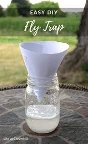 Easy Diy Fly Trap Diy Fly Trap Homemade Fly Traps Fly Repellant Diy