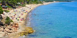 77 Alojamientos Que Admiten Perros En Miami Platja Tarragona Redcanina Es