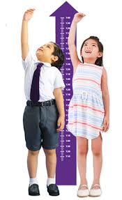 We did not find results for: Normal Height And Weight Predictor For Kids Pediasure Plus
