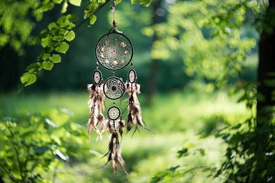 How To Make A Dreamcatcher At Home In 2022: DIY Dreamcatcher Patterns | Her  Circle