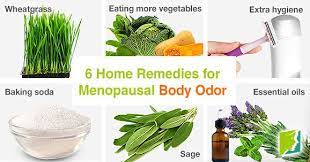 Pin On Menopause Symptoms Oh Dear Home Remedies
