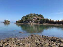 Eddy's Bioluminescent Reserve (Paquera)