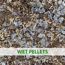 Cheap grass seed often contains older varieties that are coarser, lighter green, and require much more effort on your part to grow well. Amazon Com Greenview Fairway Formula Seeding Success 2329835 Biodegradable Mulch With Fertilizer 38 Lb Covers 760 Sq Ft Garden Outdoor