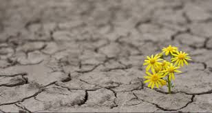 3 x 5 to 8.5 x 14 in media types. 3 Ways To Re Inject Hope Into Your Team