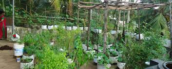 This particular article and images home garden flowers in kerala published by darra at august, 22 2018. How Kerala Is Making The Transition Towards Healthy Home Grown Food Steps Centre