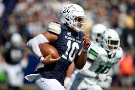 Bobcats get right, blast Stetson to rebound from devastating loss