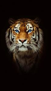 The platform allows users to take and edit pictures and videos, draw with layers. Sa 7 On Twitter ØµÙˆØ± Ø®Ù„ÙÙŠØ§Øª Ù†Ù…Ø± Pics Picsart Wallpaper Tiger