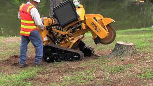 Maybe you would like to learn more about one of these? Stump Grinding Houston Tx Houston Tree Surgeons