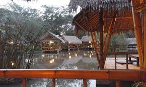 Check spelling or type a new query. Nasi Goreng Kampung Gambar Rumah Air Bogor Tripadvisor