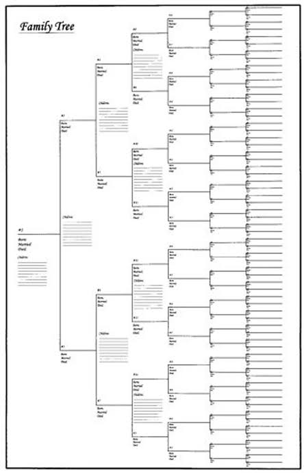 10 Pack of Large Family Tree Charts 24" x 36" | eBay