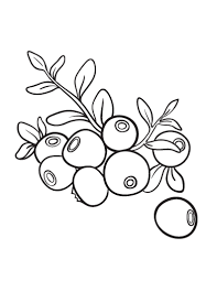 Create your blueberry masterpiece by blending multiple colors in your artwork. Free Blueberry Coloring Page