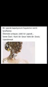 Bir Yaprak Kapatiyorum Hayatimin Nemli Tarafina Ismet Ozel Guzel Soz Edebiyat Alinti Sozler