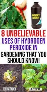 Let us help you spruce up your space, your yard and your home. 8 Unbelievable Uses Of Hydrogen Peroxide In Gardening That You Should Know Home Garden Organic Gardening Tips Organic Vegetable Garden Hydrogen Peroxide Uses