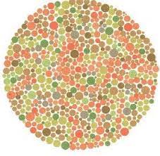 What is the best color vision test? Pin On Welk Nummer Zie Je