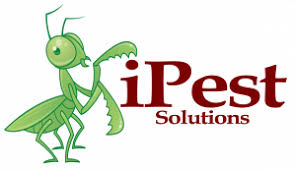 Do you live in a custom house made out of logs? Ipest Solutions San Antonio Austin Pest Control