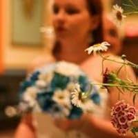 Sweet Thanksgiving (Sweet Cove #21) by J.A. Whiting