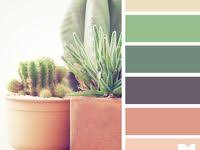 Pin On Desert Decor