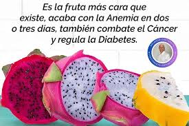 La pitahaya, también conocida como fruta del dragón, es un alimento exótico que ha ganado popularidad no solo por su sabor dulce y refrescante, sino también por sus propiedades nutricionales. Aunque no