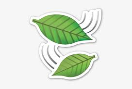 Emoji Clipart Wind Emoticones De Whatsapp Hojas Transparent Png 480x480 Free Download On Nicepng For counts of emoji, see emoji. emoji clipart wind emoticones de