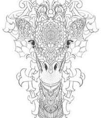 De vacht van een vos is meestal roodbruin maar ze kunnen ook een zwarte of zilvergrijze vacht. Kleurplaten Volwassenen Dieren Google Zoeken Kleuren Mandala Kleurplaten Dieren Kleurplaten